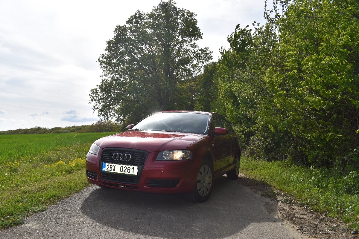 Audi A3 8P Sportback