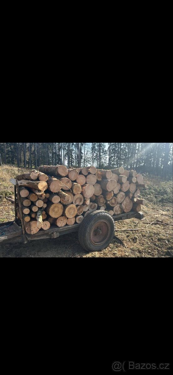 Palivové dřevo
