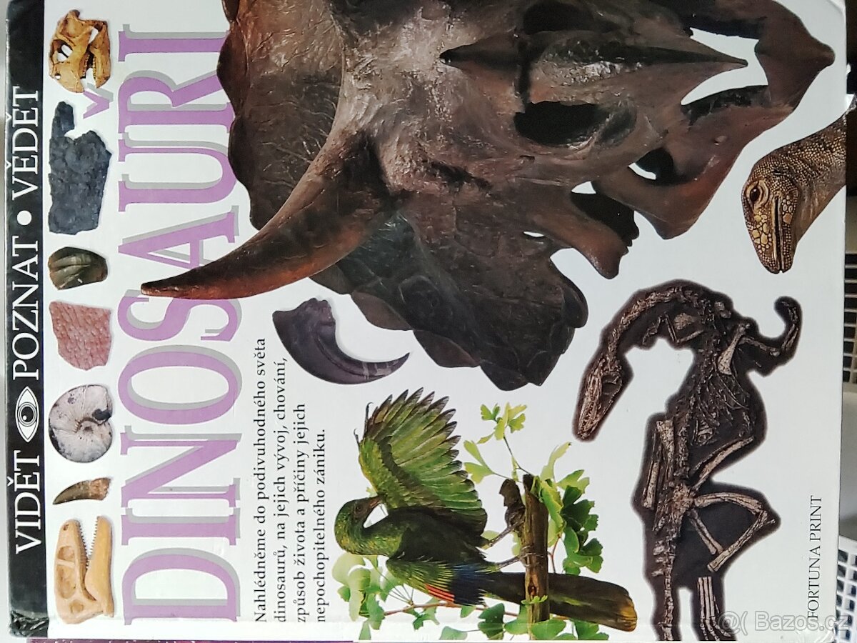 Dinosauři