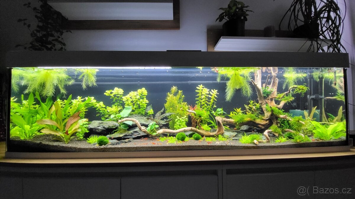 Akvarium 270l, 40x45x150 cm