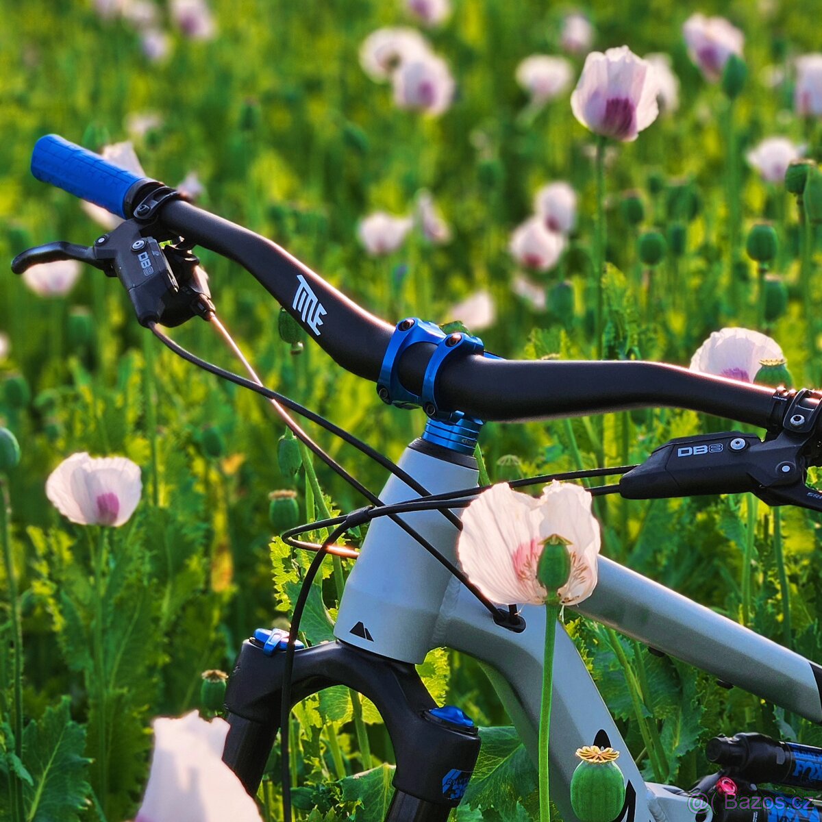 Canynon Spectral 27,5