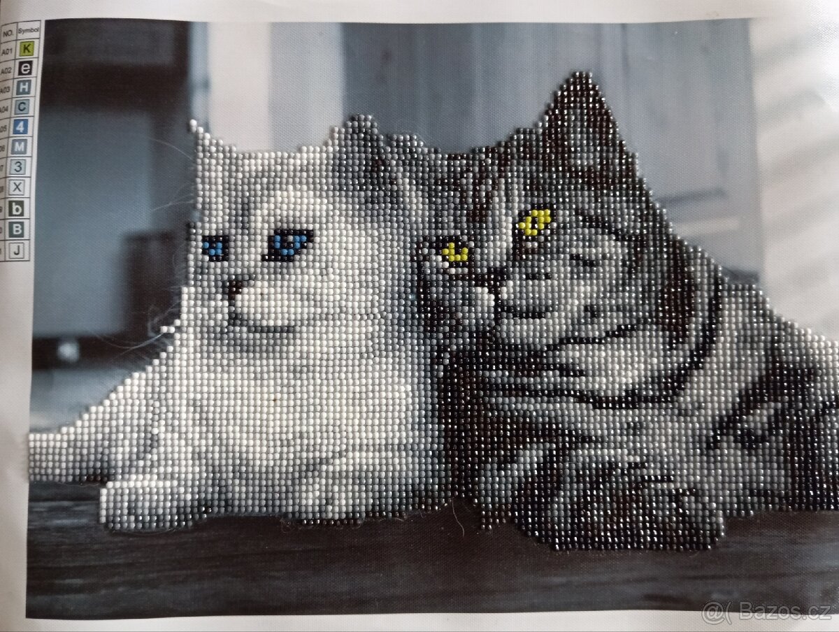 Obrázek na plátně 2 kusy