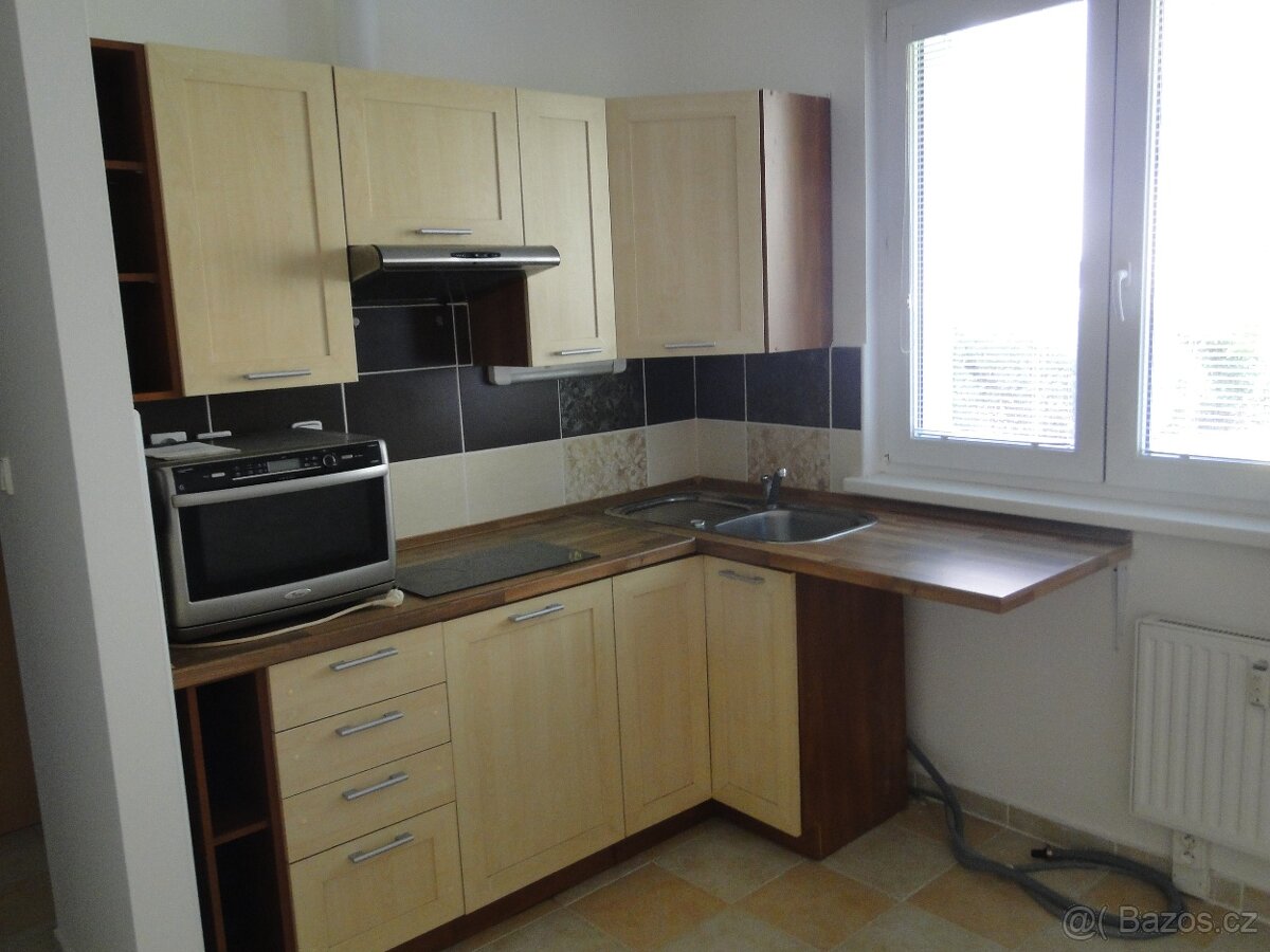 Ostrava-Hrabůvka, U prodejny, 2+1 임대