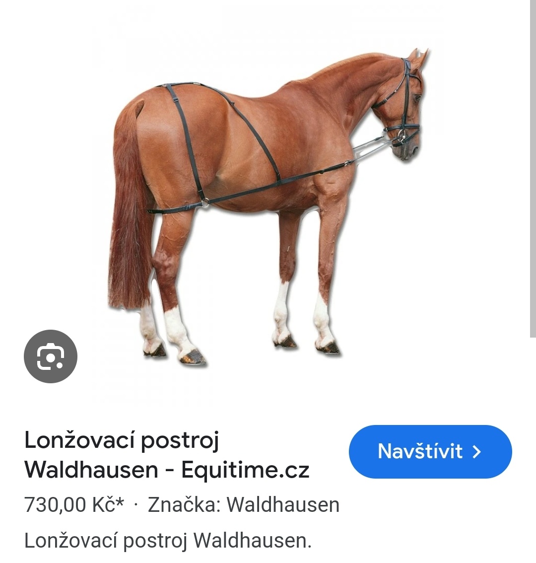 Úklid sedlovny - lonžovací postroj