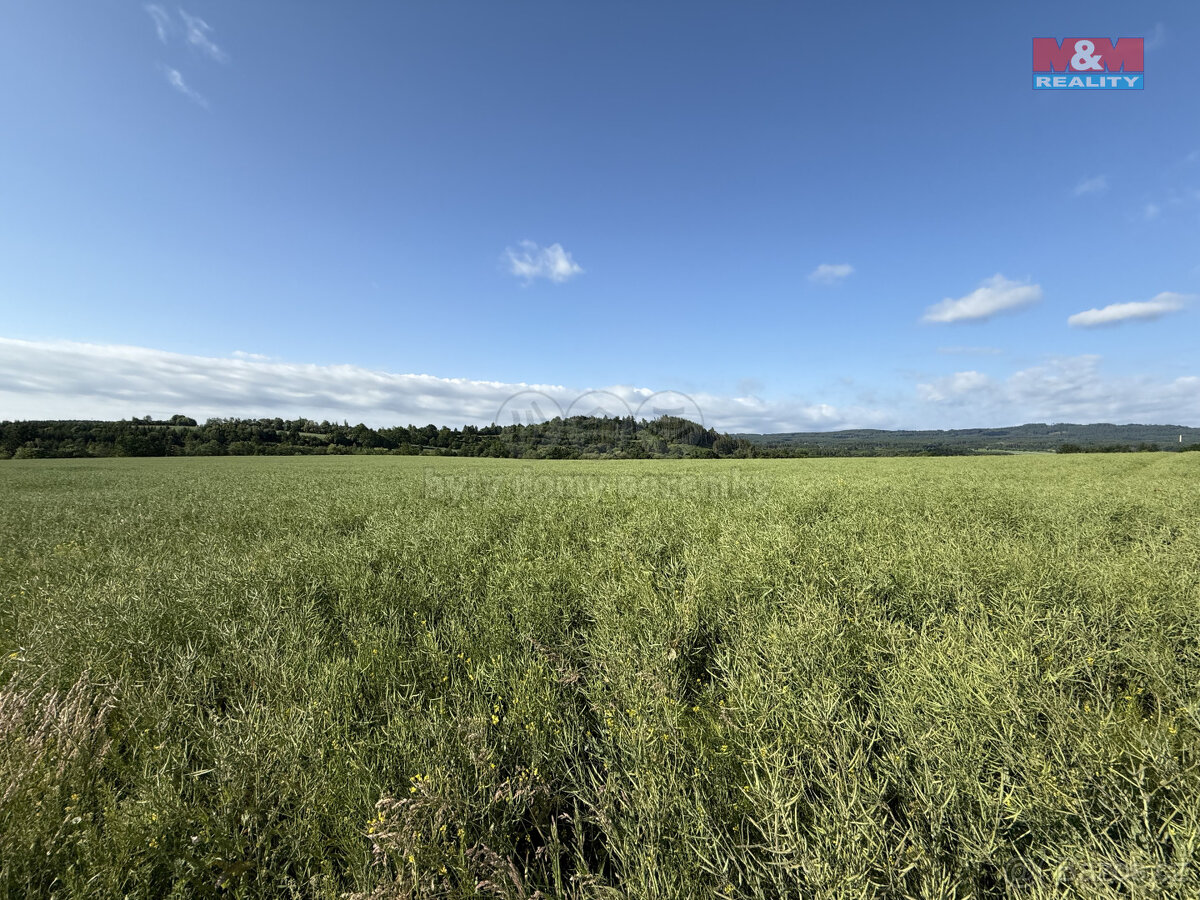 Prodej pole, 8056 m², Rožmitál pod Třemšínem