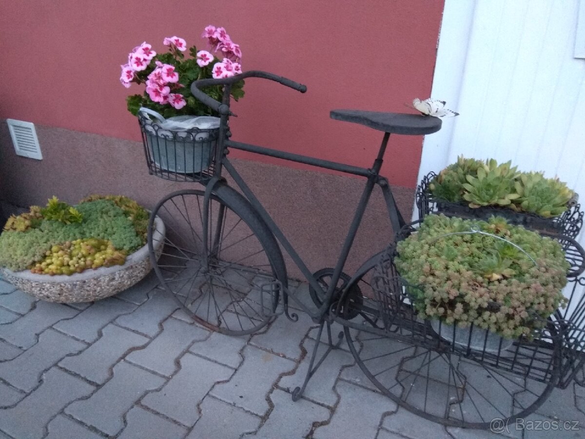 Kolo