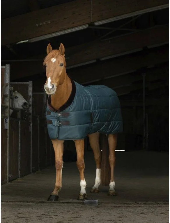Stájová deka pro koně EQUITHME TEDDY 200g