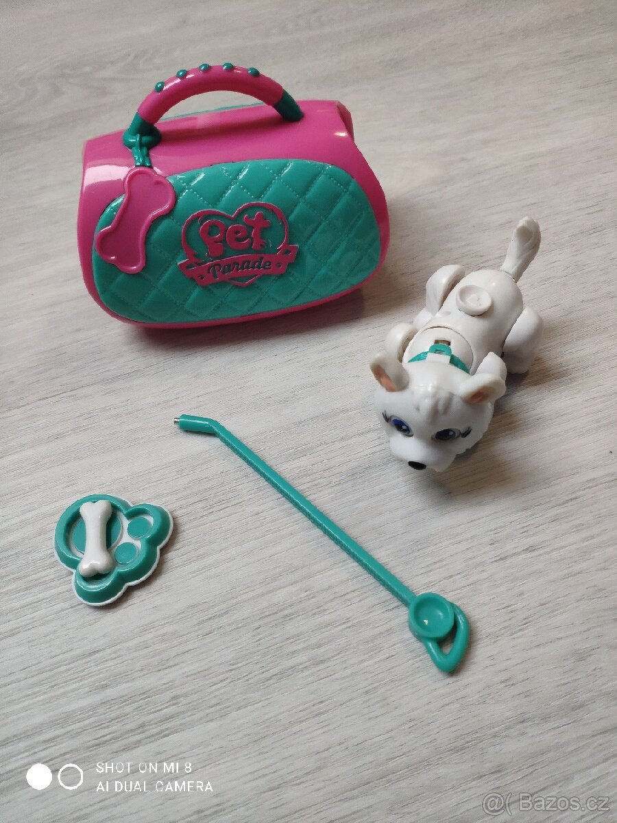 Pet parade