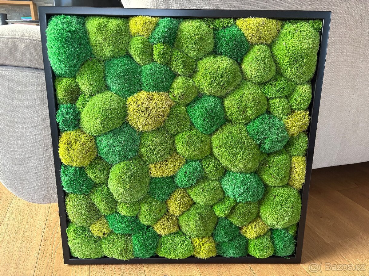 Mechový obraz 56x56 cm