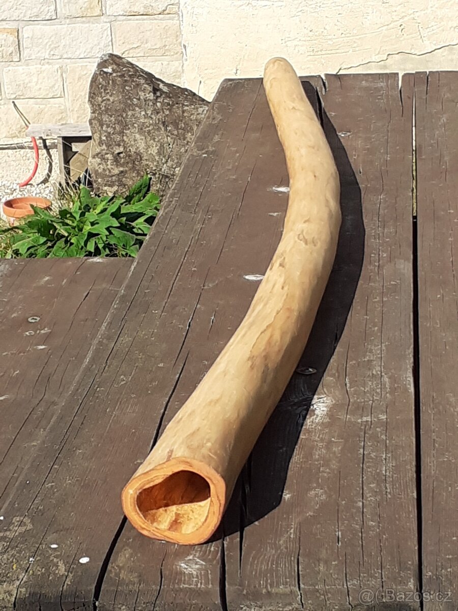 Didgeridoo 049