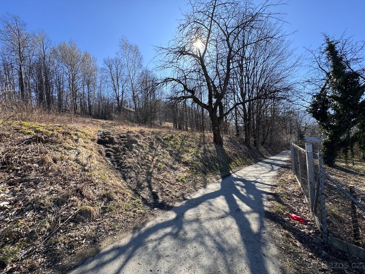 Prodej stavebního pozemku, 5589 m², U Sv. Rocha, Zlaté Hory.