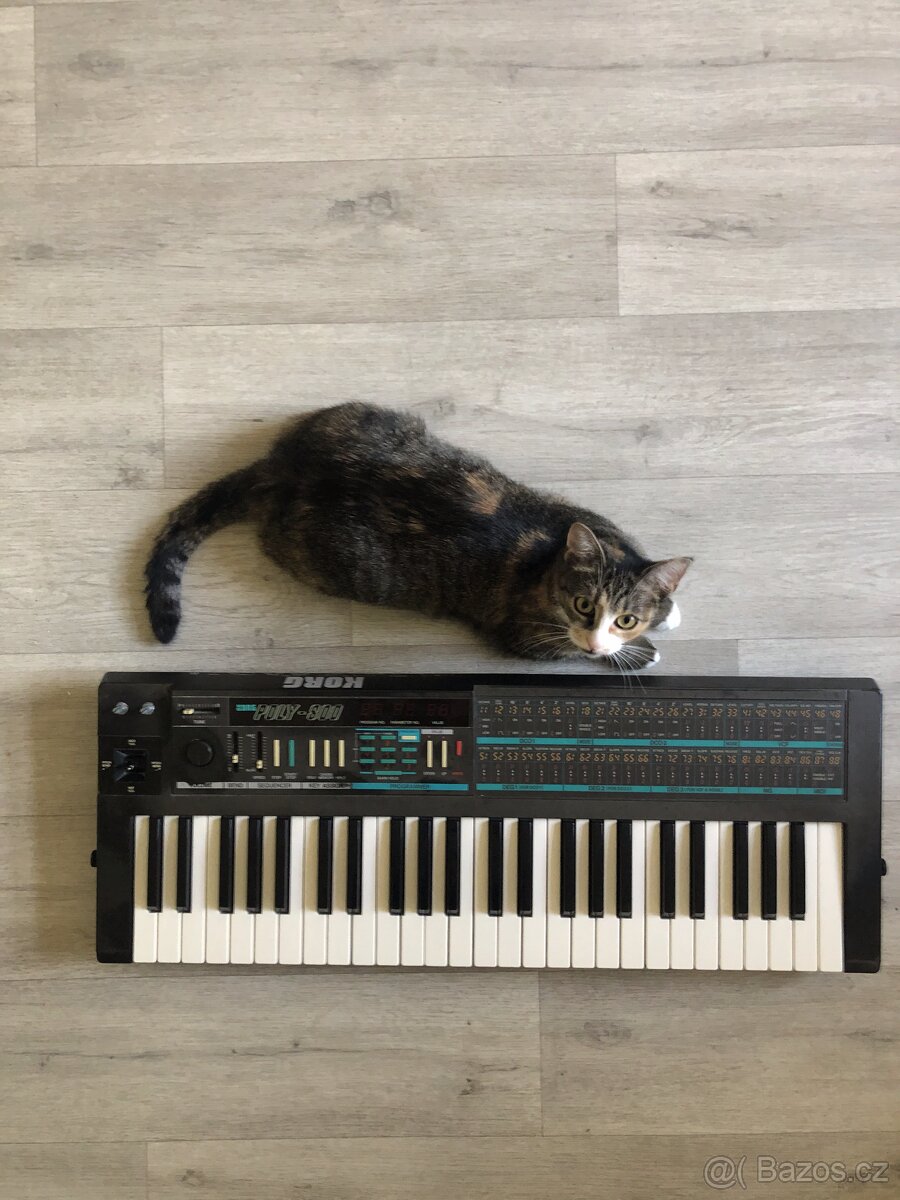 KORG POLY - 800