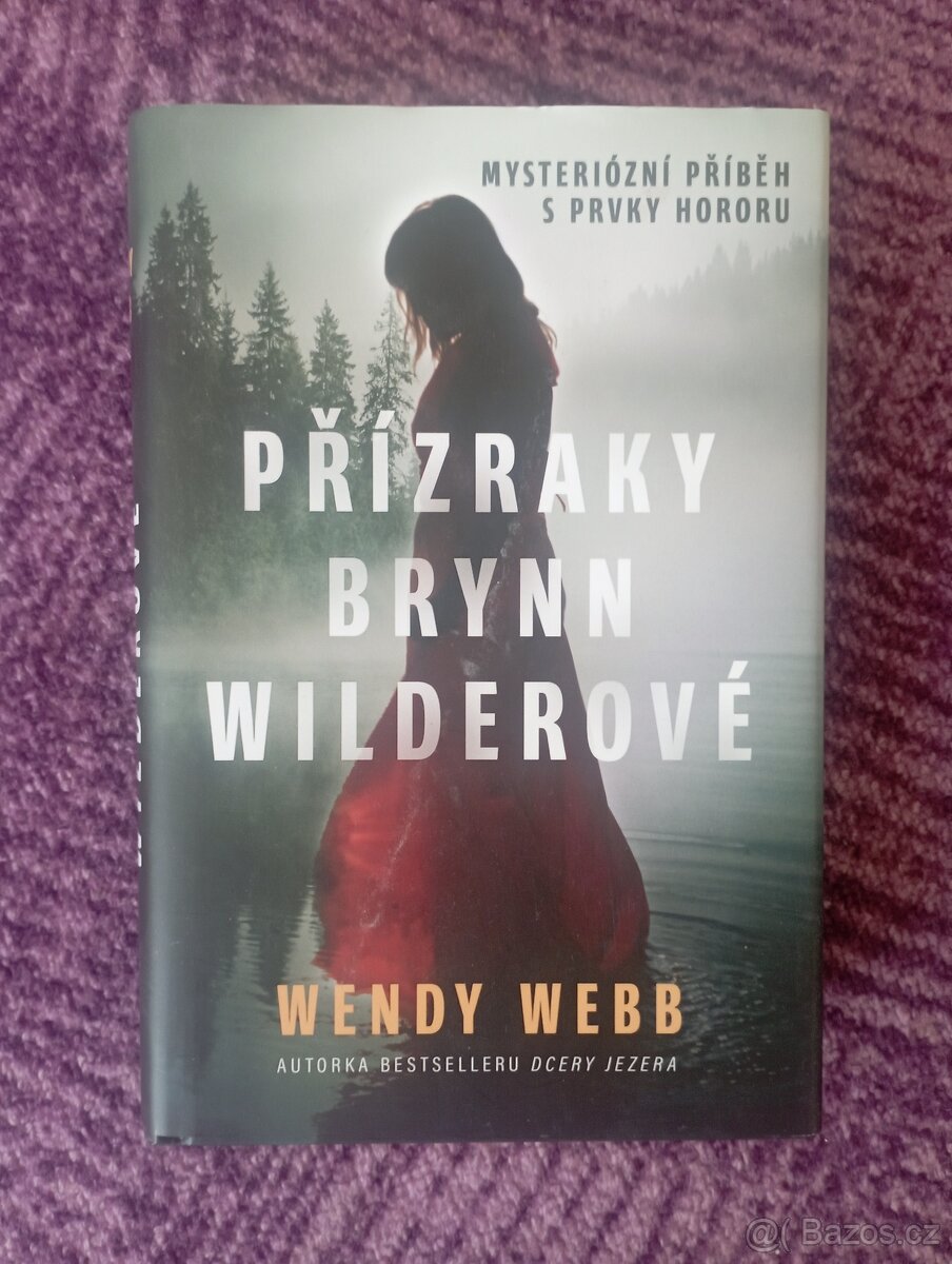 Přízraky Brynn Wilderové - Wendy Webb