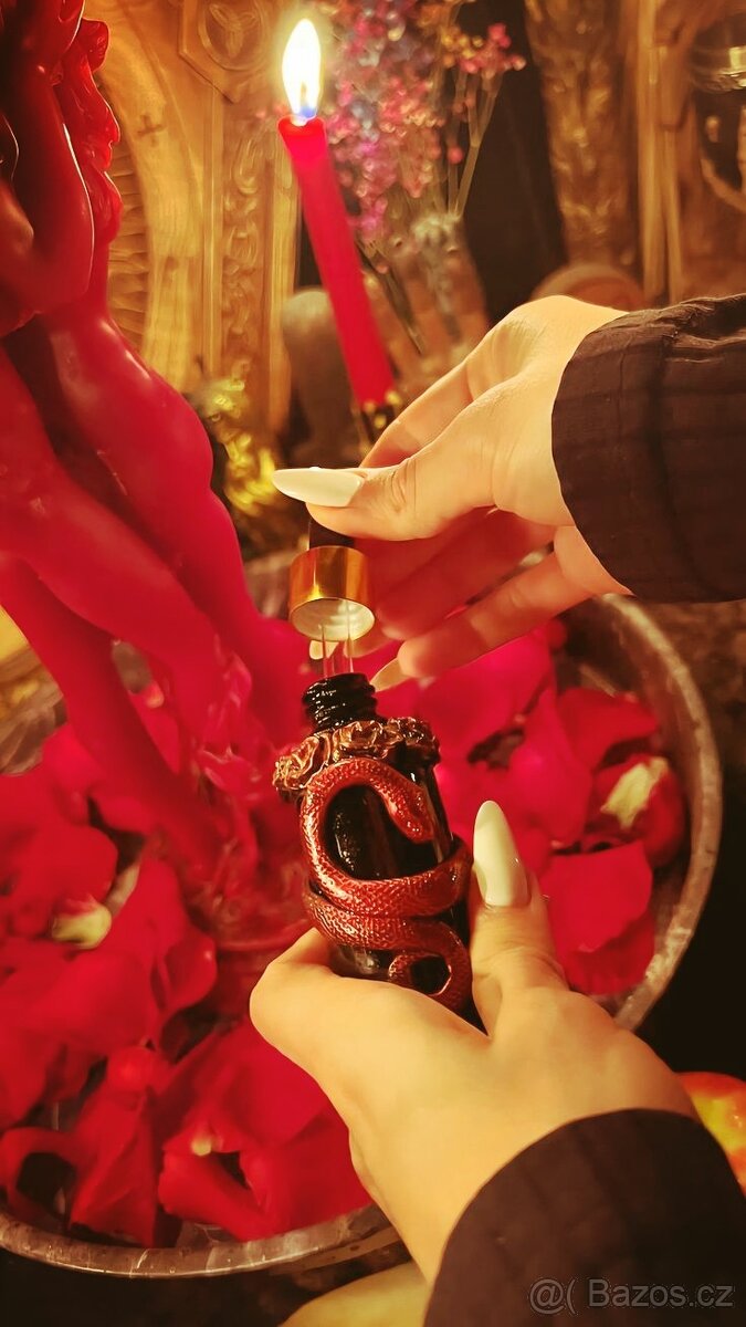 Profesionální výklad karet