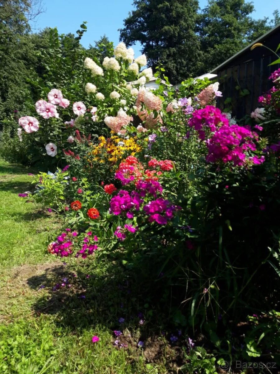 Nabízím osazení vaší zahrady