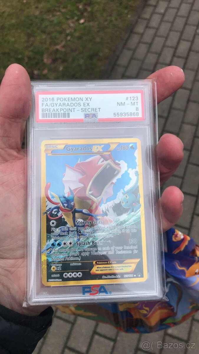 Pokemon Gyarados