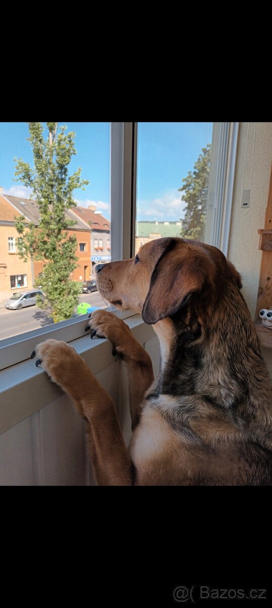 Spyke