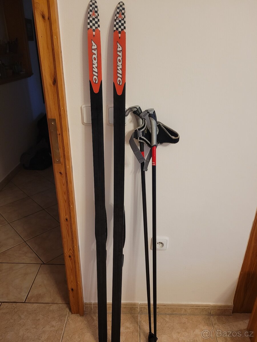 Prodám skate běžky a hůlky