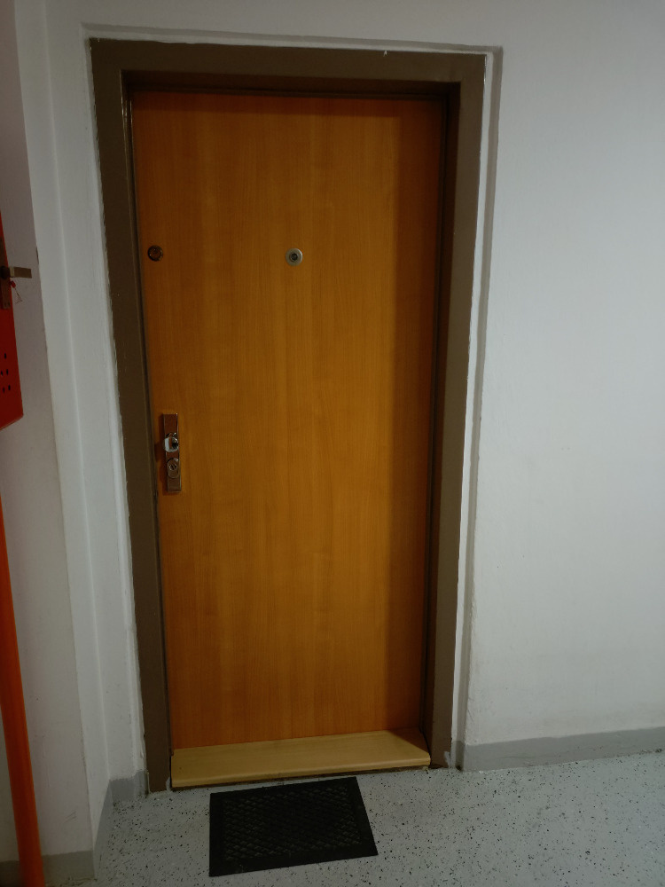 Vchodové dveře do bytu