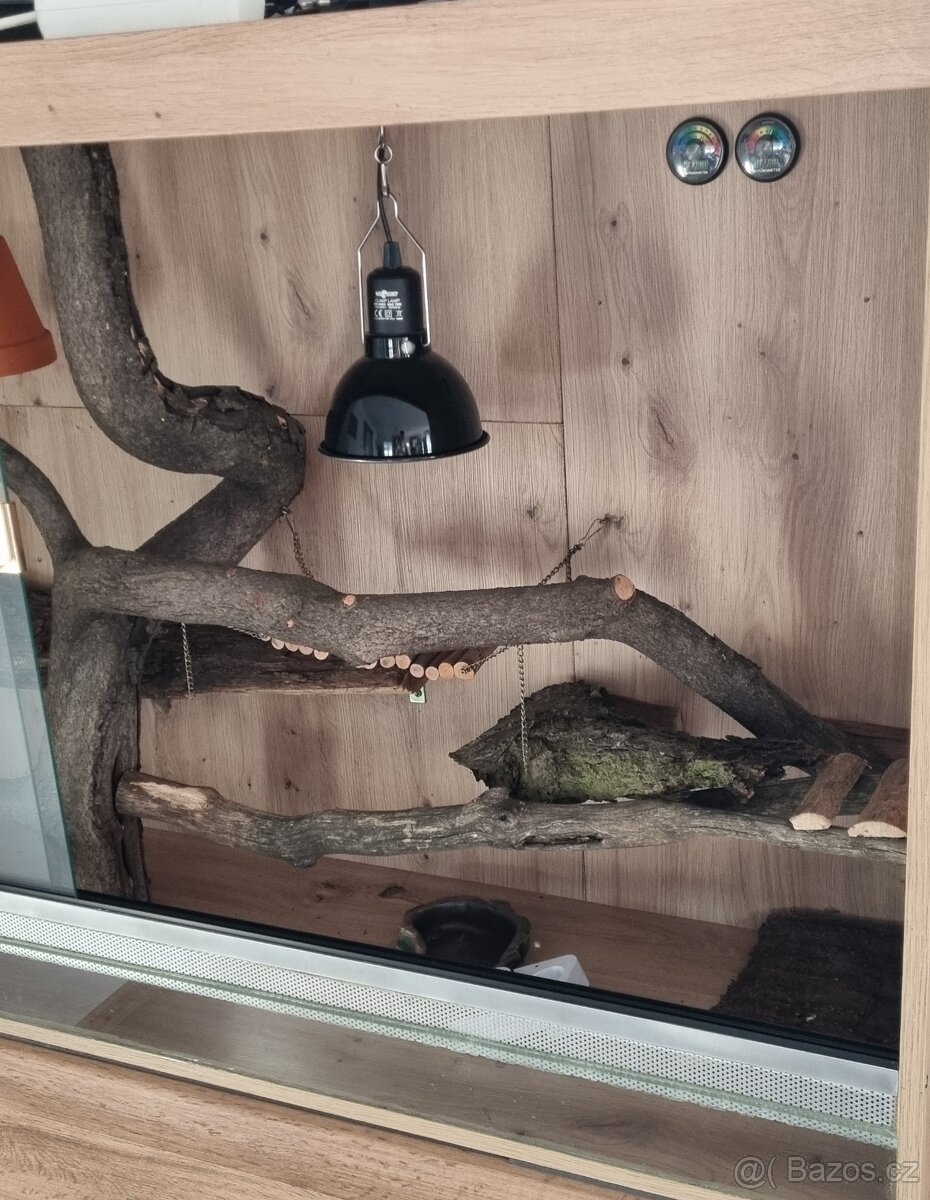 Terarium zlaty Dub 150cm