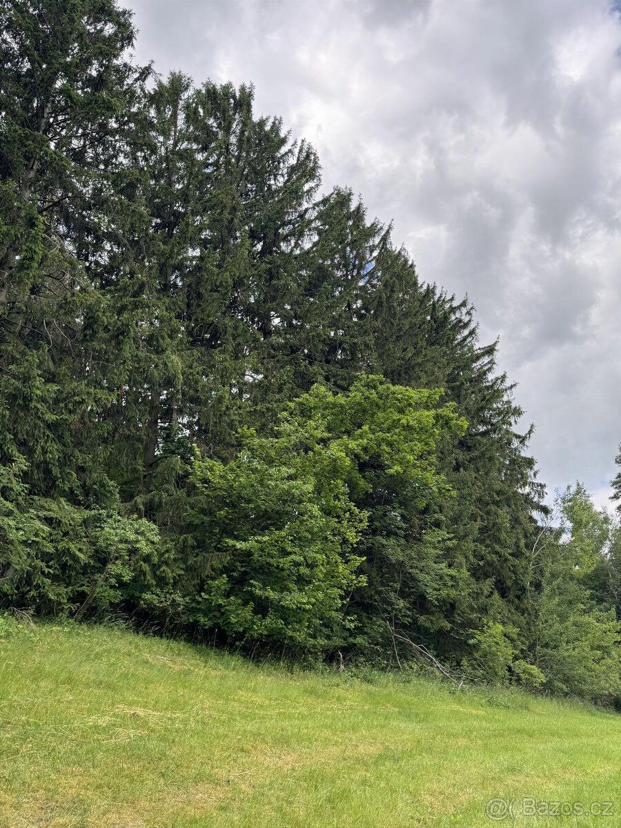 Prodám pozemky v katastrálním území Český Dub