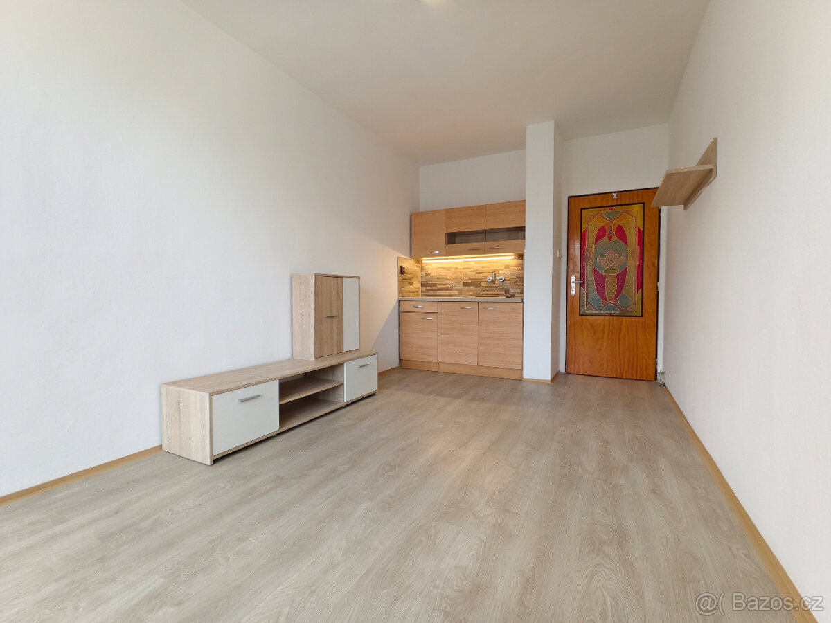 Pronájem 1+kk, 25m2(balk.) (JBC - Paseky, ul. Vít. Nezvala)