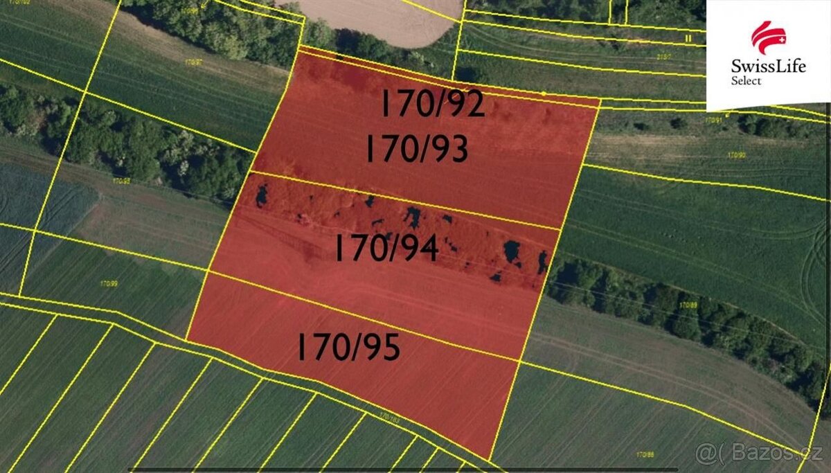 Prodej pole 9367 m2, Brumovice