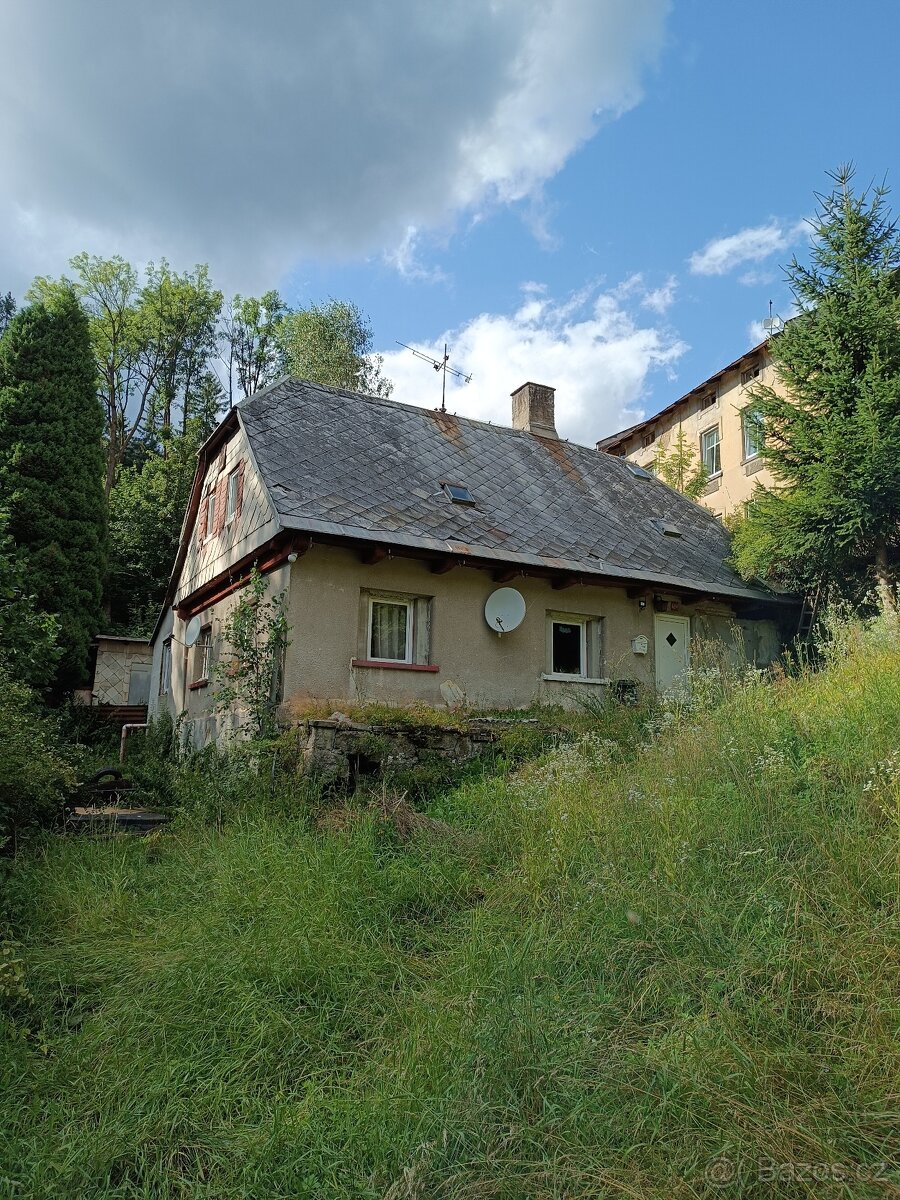 Rodinný dům či dva apartmány - Desná