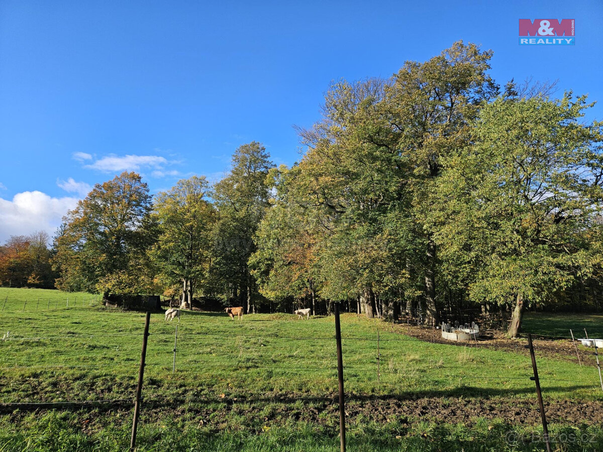 Prodej ostatní, 2133 m², Zlaté Hory