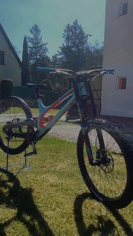 specialized demo 8 carbon (downhill)