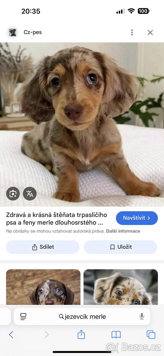 Sháním