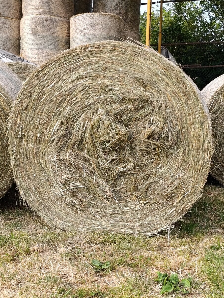 Seno velké balíky