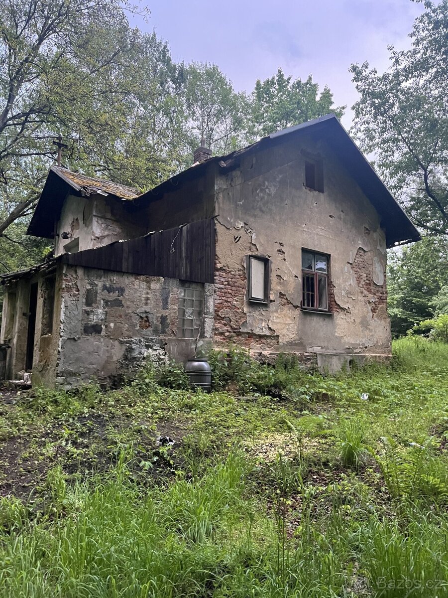 ❗️zbavím vás zbytečné starosti/nemovitost❗️