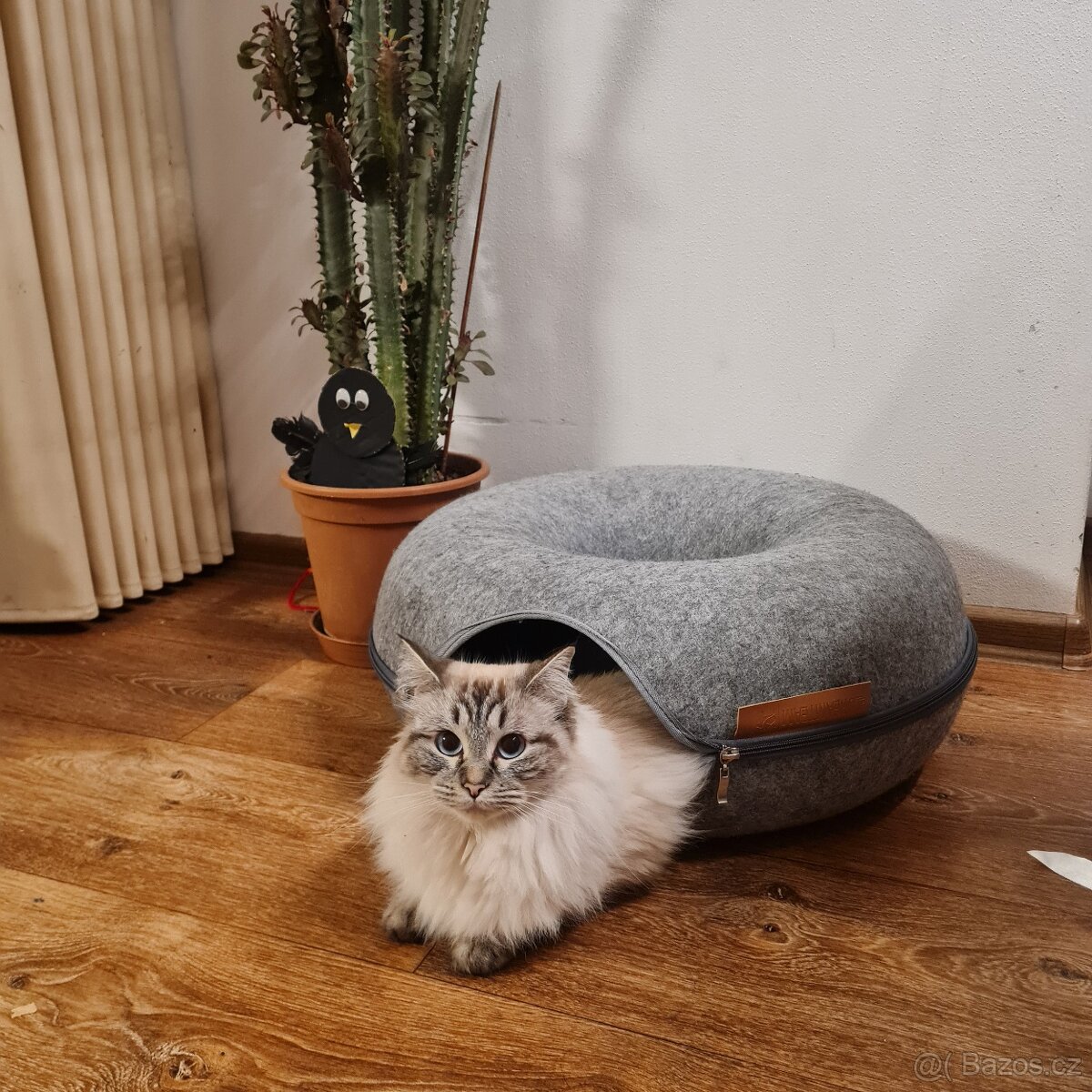 Ragdoll krytí