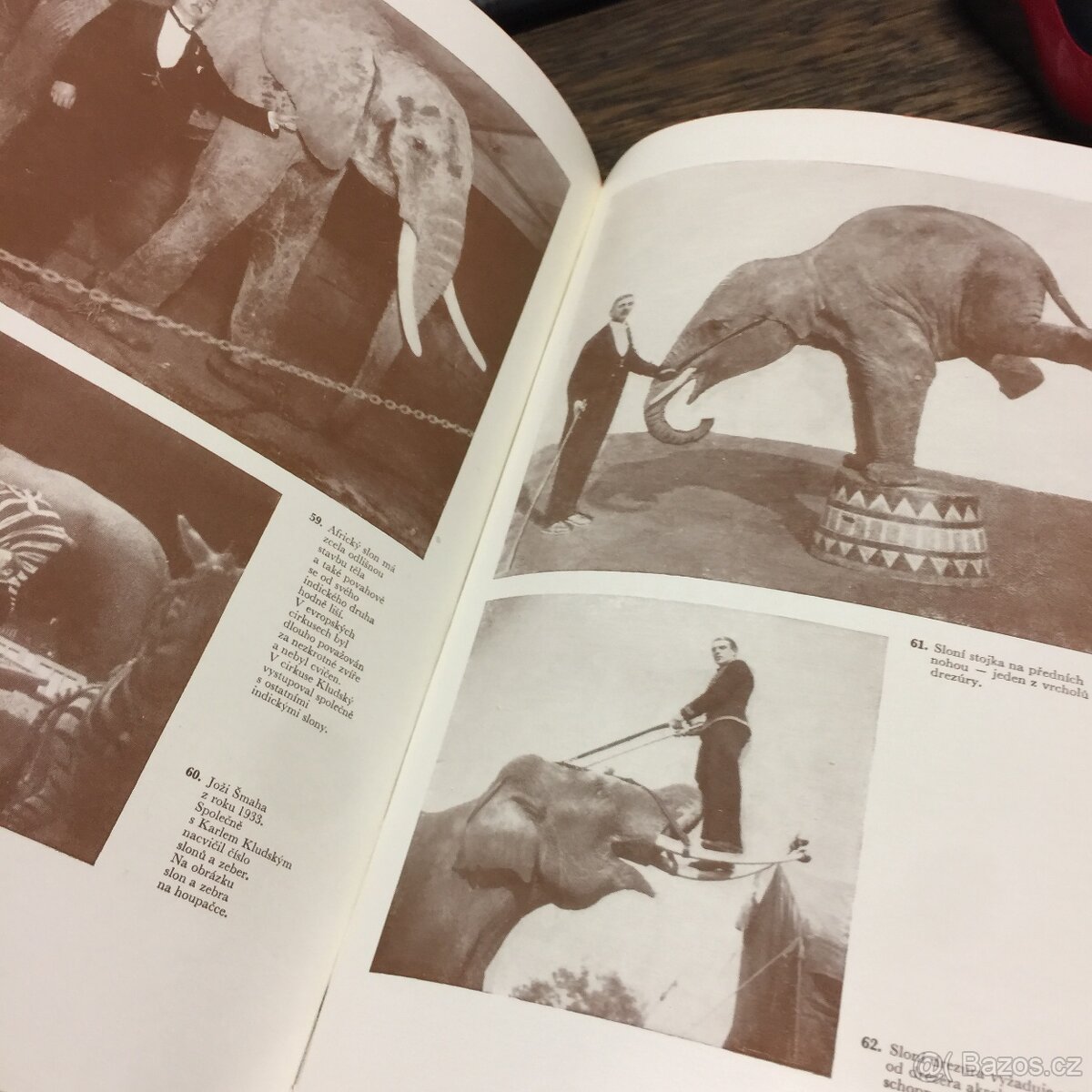 Život v cirkusu Historie Fotografie Kludský 1970