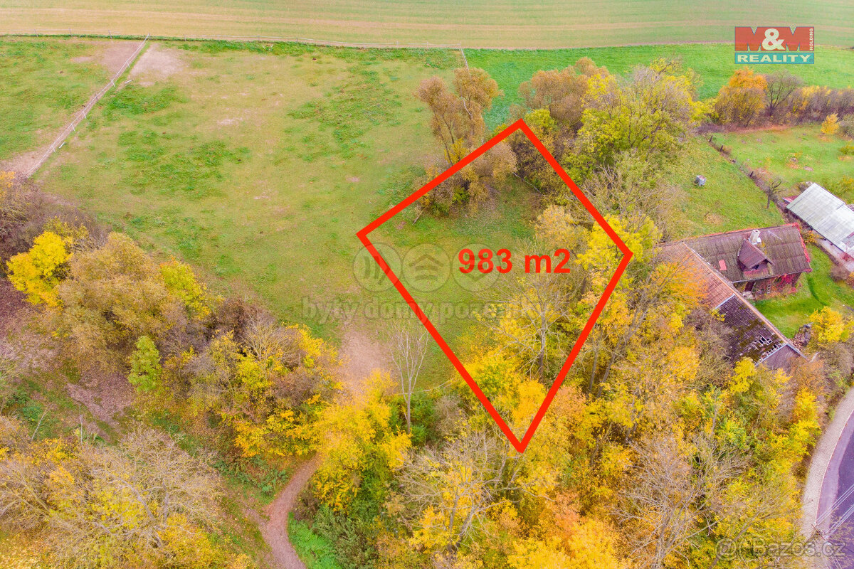 Prodej pastviny, 983 m², Údrnice