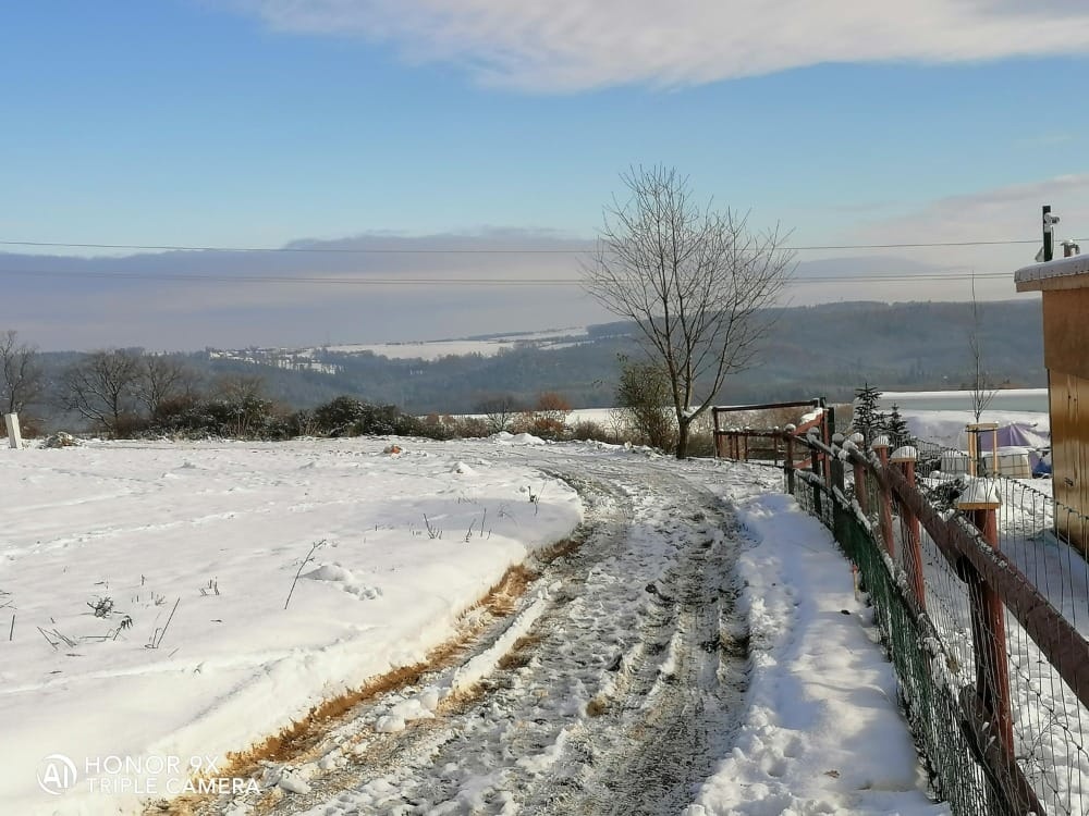 Pozemek Černé Voděrady (nestavební) 7487m²