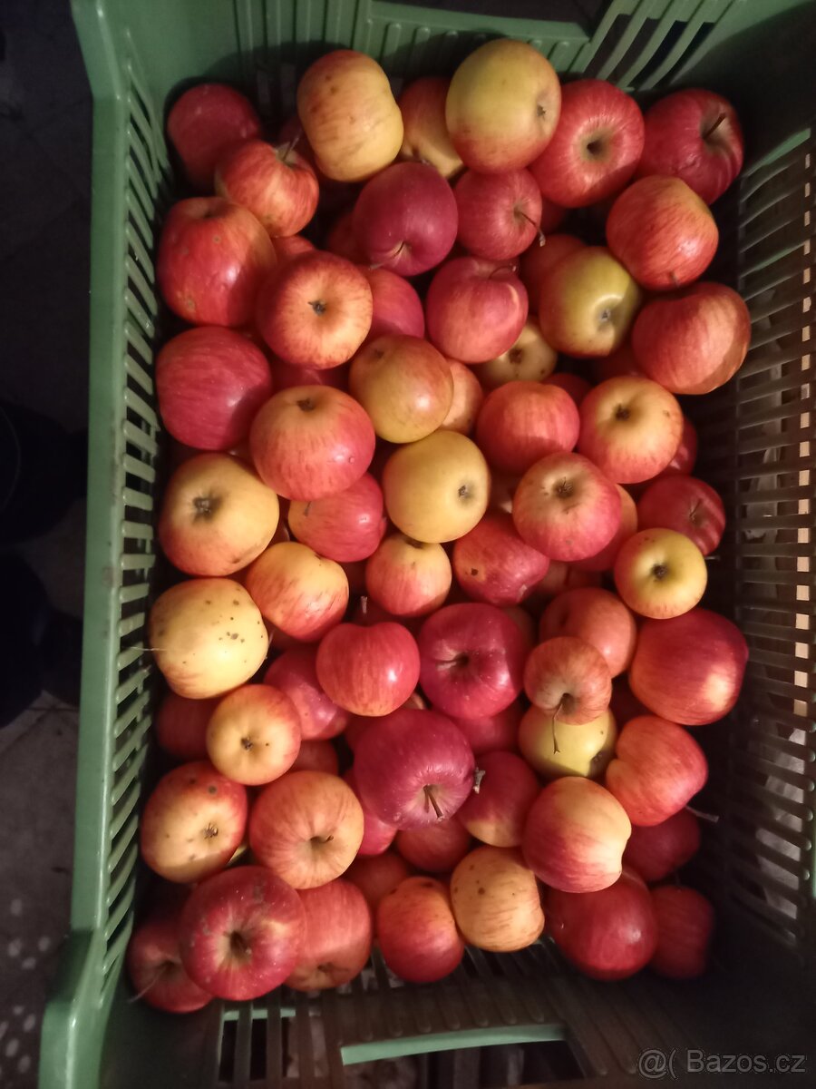 Prodej zimních jablek