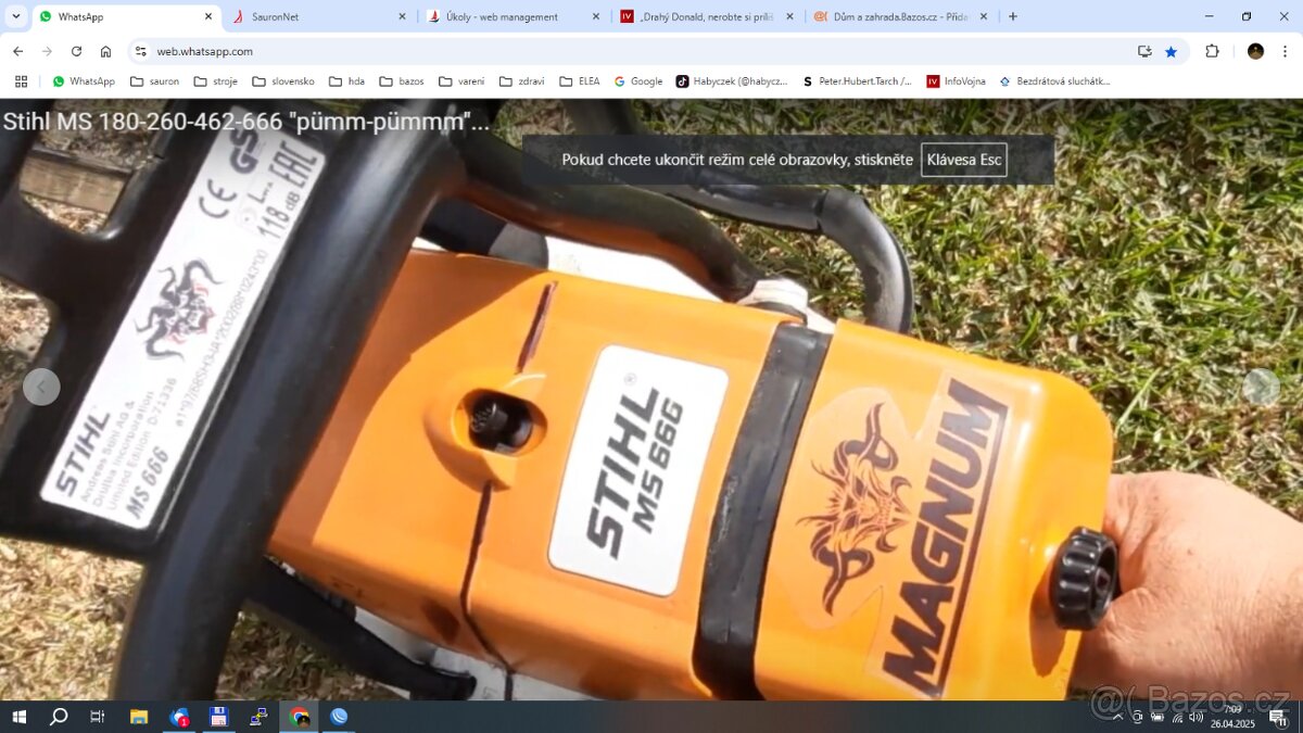 stihl ms 666