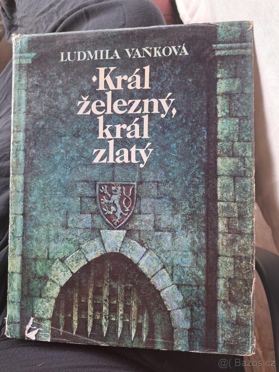 Král železný, král zlatý - Ludmila Vaňková