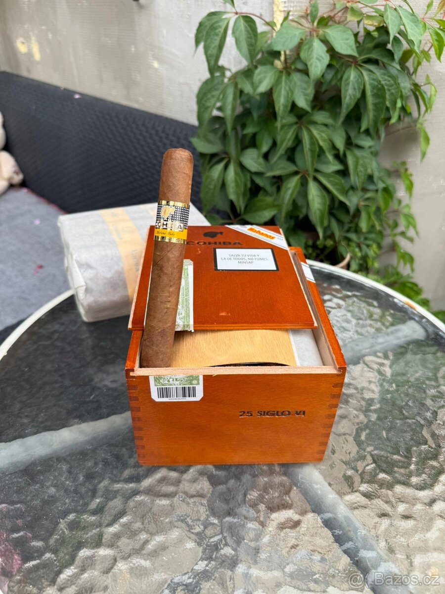 Siglo VI.