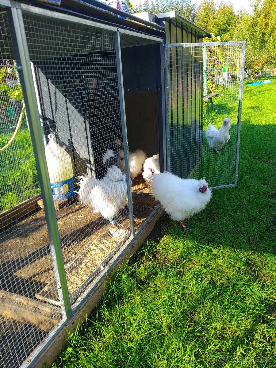 Klec pro kuřata s výběhem