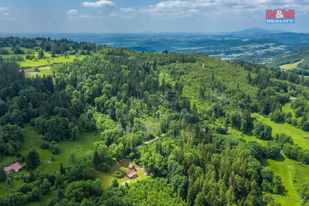 Prodej lesa, 29930 m², k.ú. Chuchelna