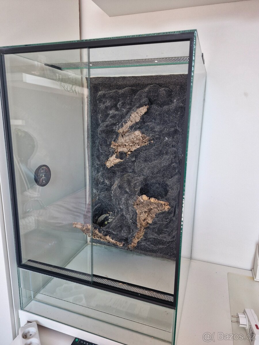 Terarium