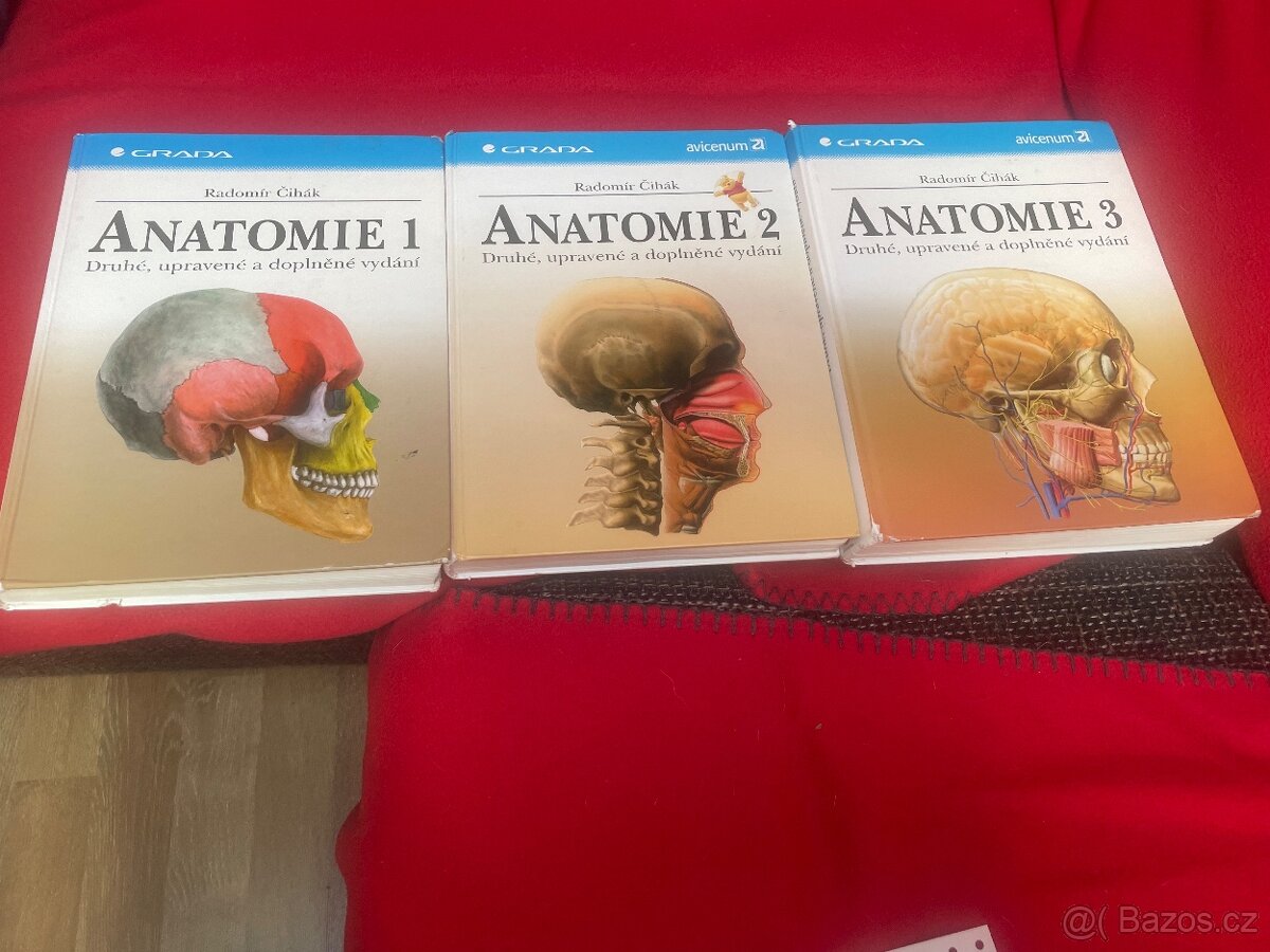 Anatomie -Čihak 1,2,3