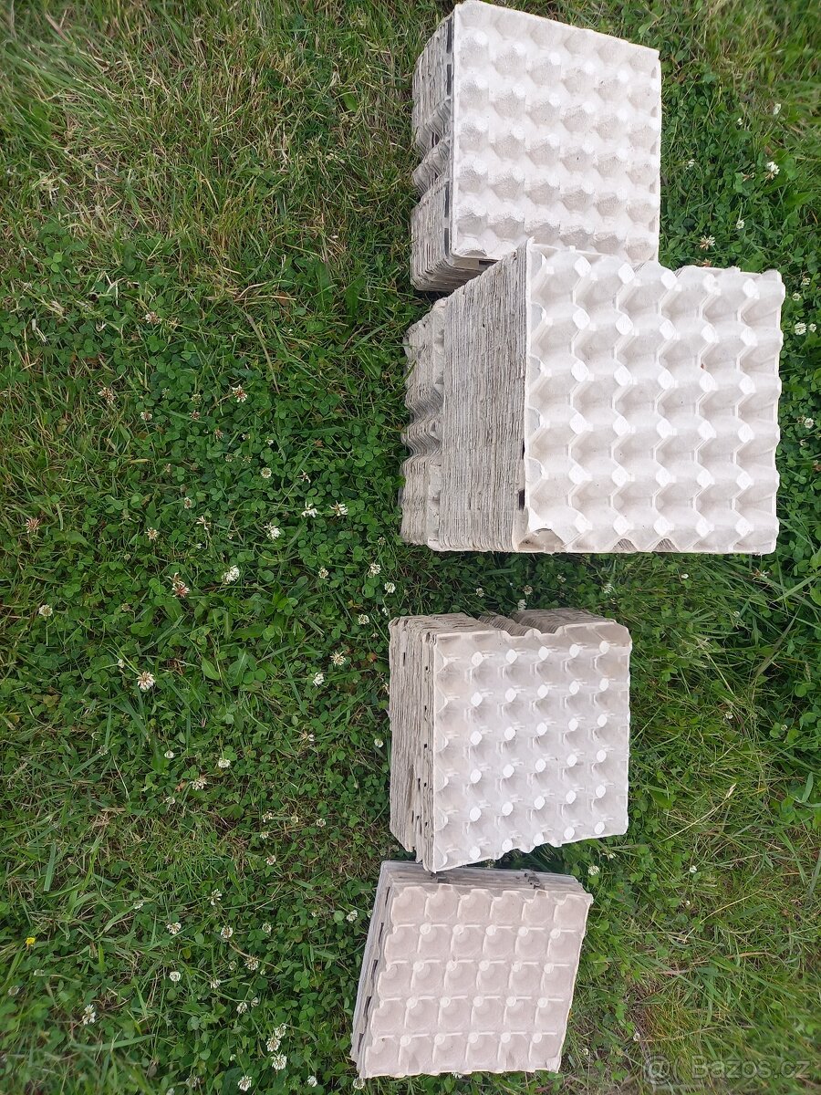 Plata na vejce