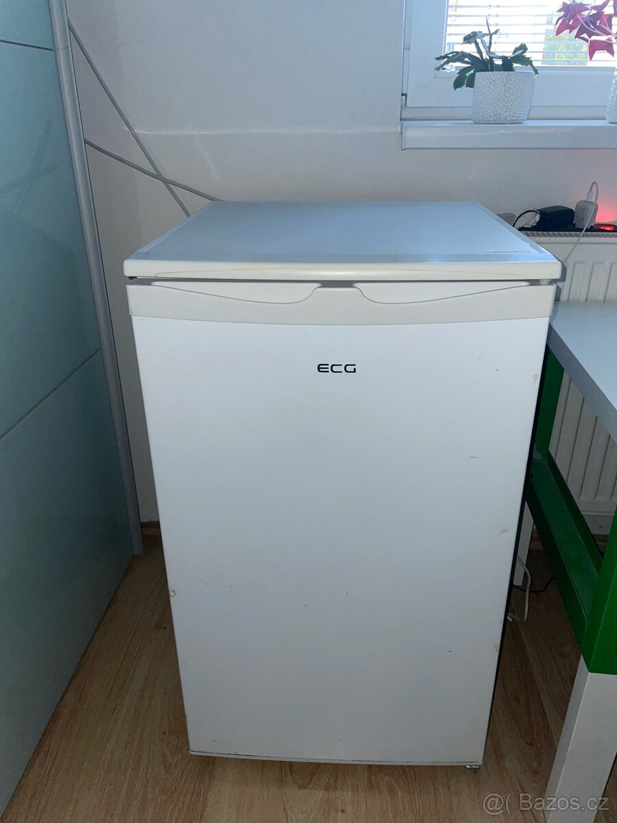 Lednička ECG