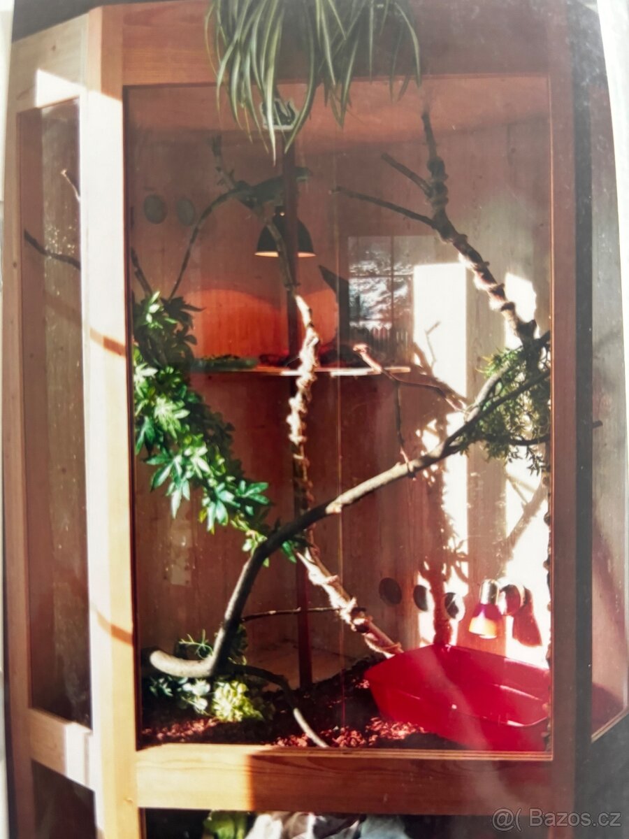 Terarium pro leguána, agamu