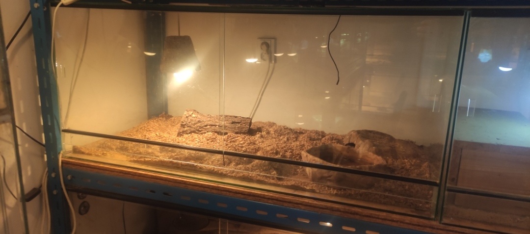 Terárium celoskleněné 115x h 60 x v 50 , Horní i dolni větrá