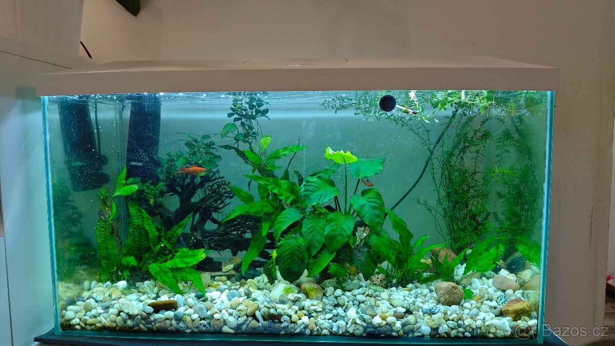 Komplet Akvárium 105l + veškeré vybavení